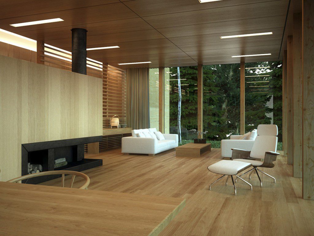 Modern wood living room interior